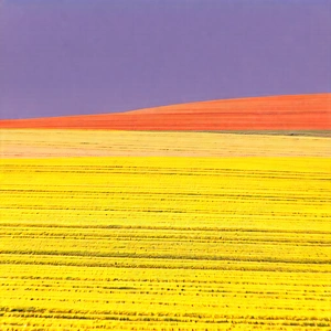 Abstract Professional Photography: Color Field With Muted Color Palette With Large, Vibrant