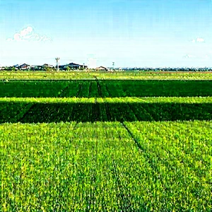 Agricultural technology in manufacturing facility