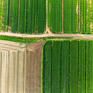 Nature Macro Photography: Aerial view of agricultural fields
