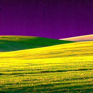 Nature Flat Design: Meadow During Golden Hour With Large, Open