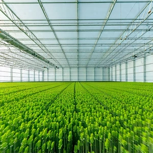 Tech Professional Photography: Agricultural technology in research center