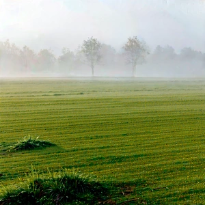 Nature Drone Photography: Meadow during foggy morning