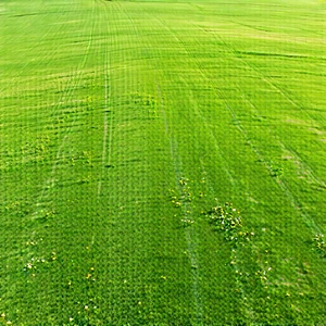 Nature Drone Photography: Meadow during midday