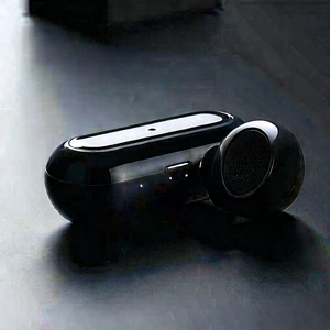 Wireless Earbuds With User Interface With Black Silver