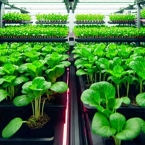 Agricultural technology in design studio