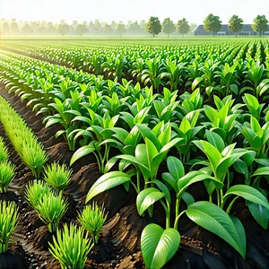Agricultural technology in research center