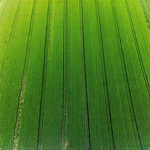 Tech Aerial Photography: Agricultural technology in tech office