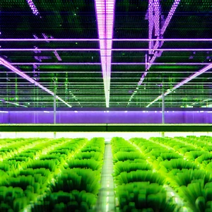 Agricultural technology in research center