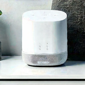 Smart Home (device:1.44) With User Interface With White Speaker
