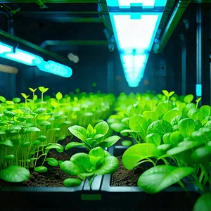 Agricultural technology in manufacturing facility