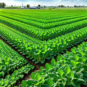 Agricultural technology in manufacturing facility