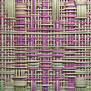 Abstract Professional Photography: Woven shapes