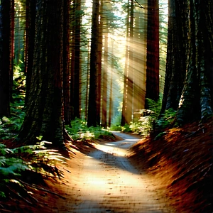 Nature Advertising Photography: Path Through Redwood (forest:1.43) With Sunny Forest,
