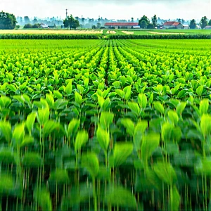 Agricultural technology in research center
