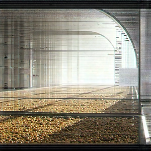 Agricultural technology in manufacturing facility
