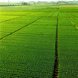 Agricultural technology in design studio