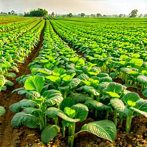 Agricultural technology in field deployment