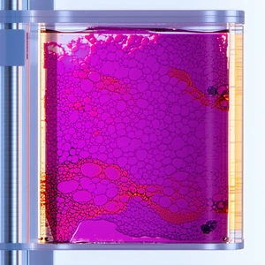 A Purple Substance, Possibly A Liquid Or A Gel, Contained Within A Glass Container
