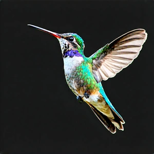 Nature Architectural Photography: Hummingbird In (mountain:1.29) Terrain With Colorful Hummingbird
