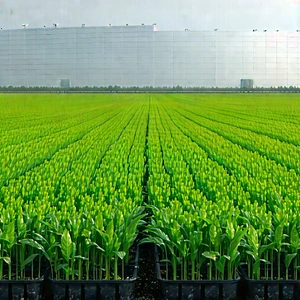 Agricultural technology in research center