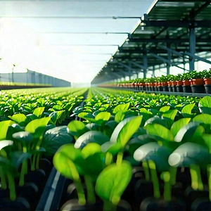 Agricultural technology in manufacturing facility