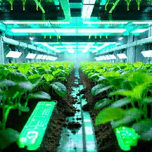 Agricultural technology in research center