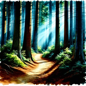 Nature Watercolor Painting: Path Through Redwood Forest With Forest Scene