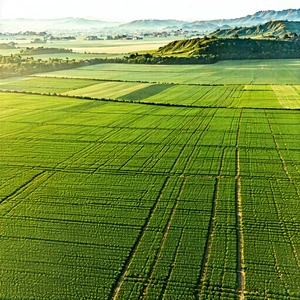 Nature Concept Art: Aerial view of agricultural fields