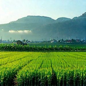 Agricultural Technology In Tech Office With Large, Lush