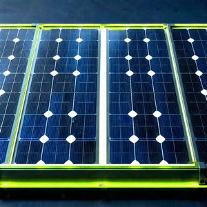 Solar panel with neon accents