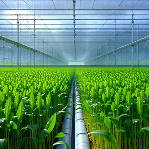 Agricultural Technology In Research Center With Large Greenhouse
