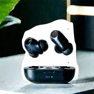 Wireless Earbuds With User Interface With Black White