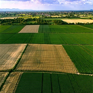 Nature Etching: Aerial View Of Agricultural Fields With Large, Aerial