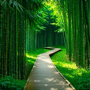 Nature Advertising Photography: Path through bamboo grove
