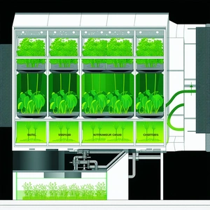 The Image Is A Computer-generated Drawing Of A Greenhouse Filled With Various Plants